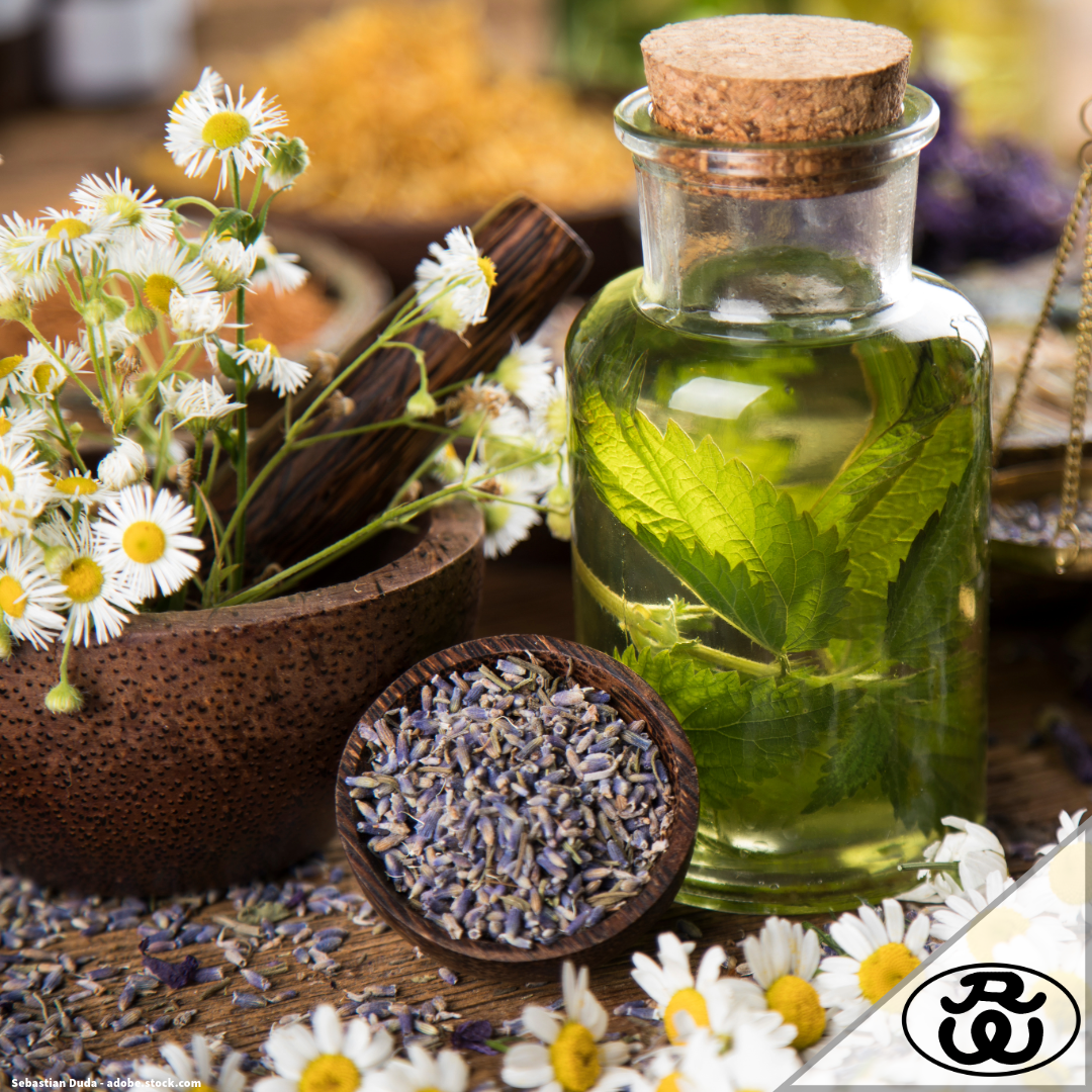 Heilkräuter in Blumenwiesen: Ein umfassender Leitfaden zu Nutzen, Identifikation und Anwendung