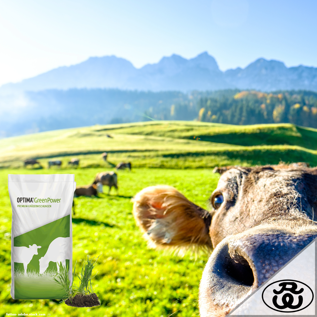 OPTIMA®|GreenPower: Die perfekte Weidemischung für nachhaltige Rinderweiden