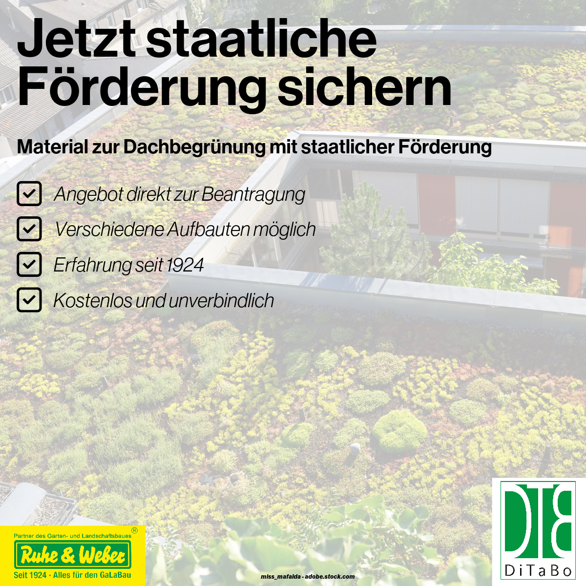 Förderung Dach (1).png