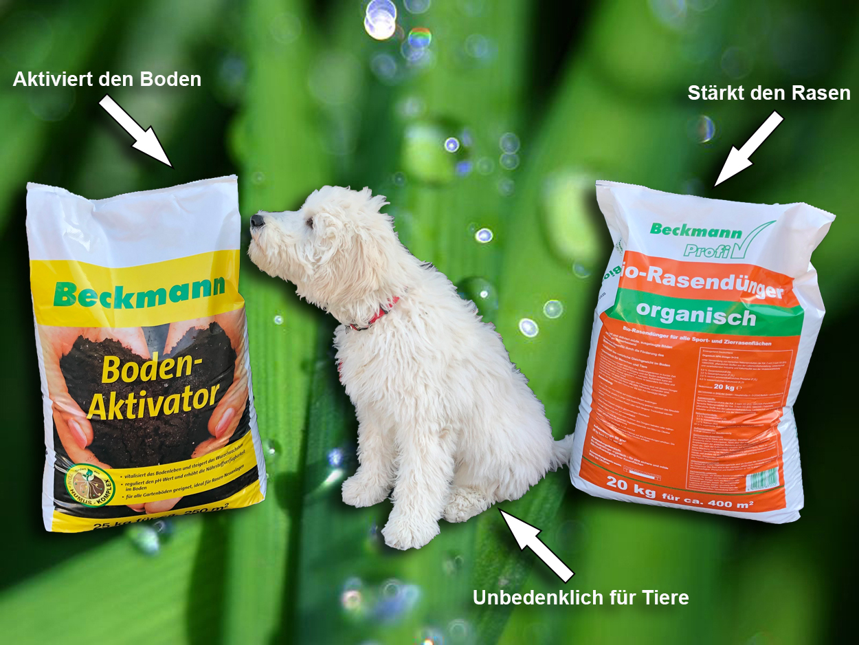 Rasenduenger-Bio-Set.jpg