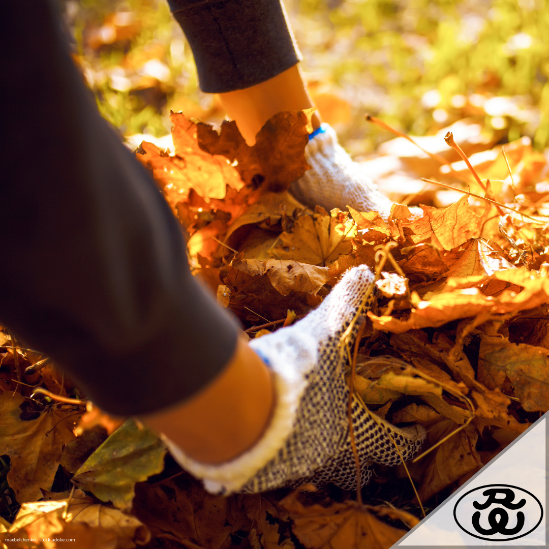Tierfreundlicher Garten: 7 Tipps, wie du Igel, Vögeln & Insekten beim Überwintern hilfst [Herbstpflege leicht gemacht]