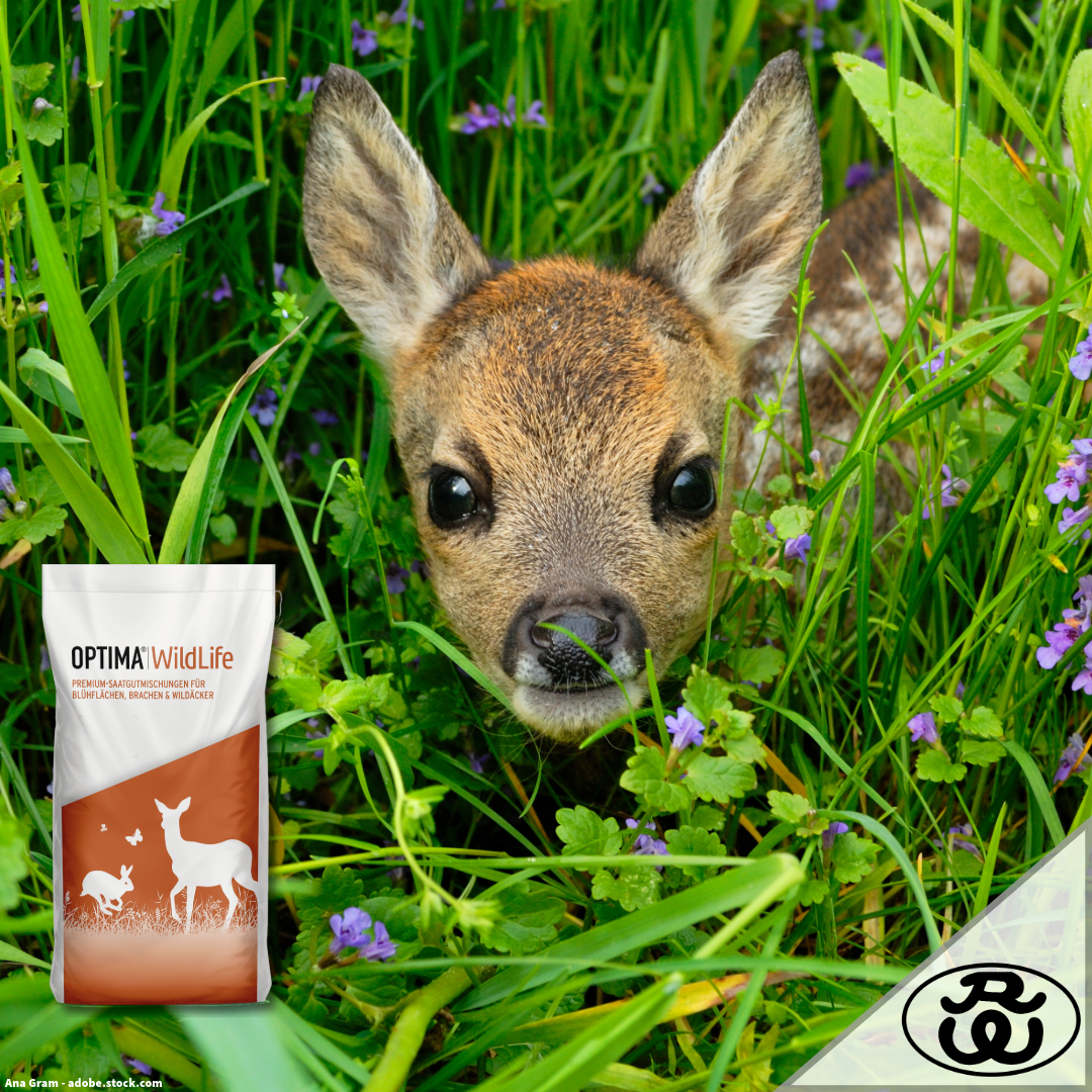OPTIMA®|WildLife: Nachhaltige Wildackermischungen für Rehwiesen und Wildäcker