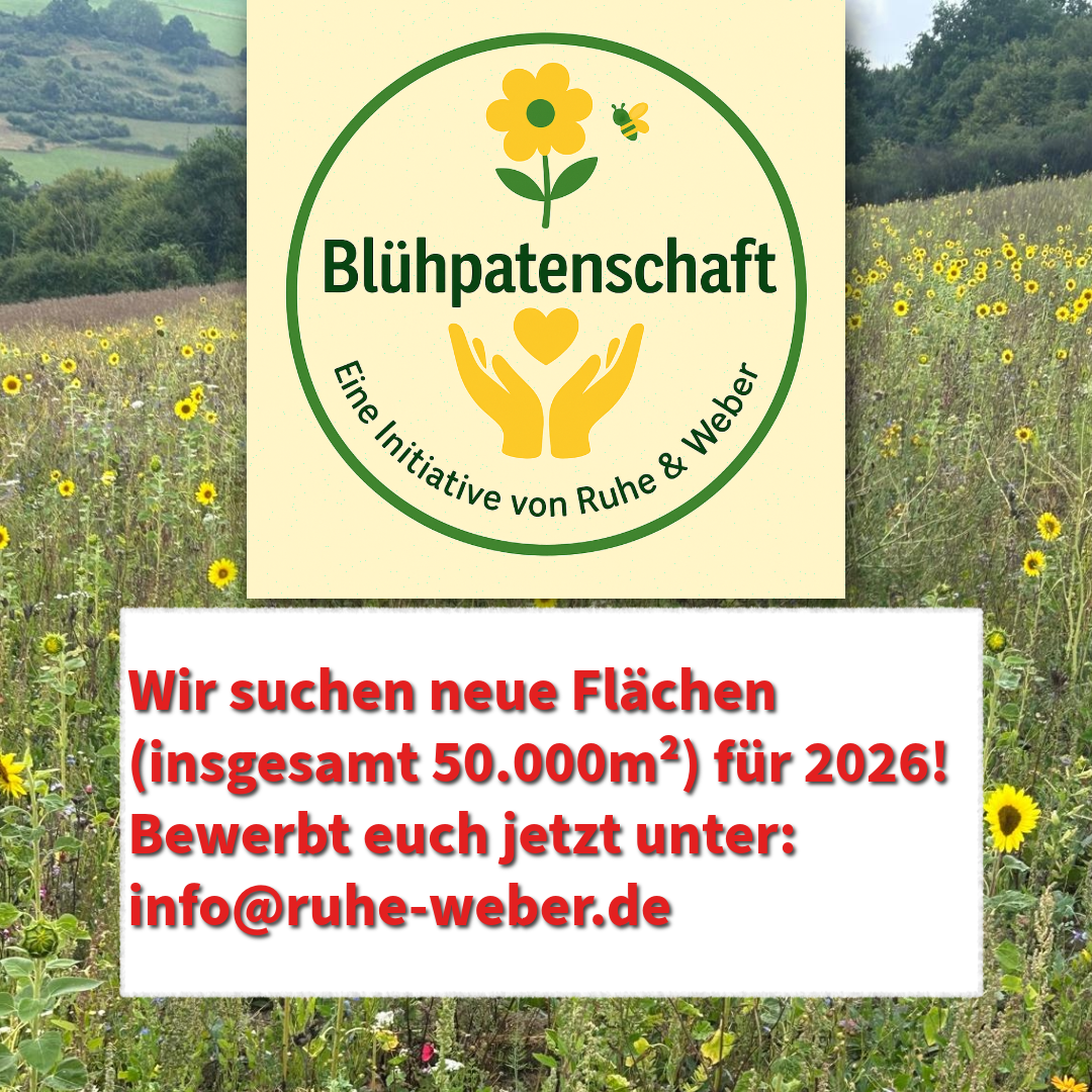 Jetzt bewerben: Blühpatenschaft 2026 – wir spenden Saatgut für öffentliche Flächen
