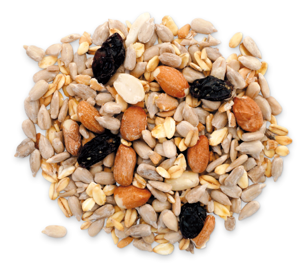 Energy Schalenlos.png