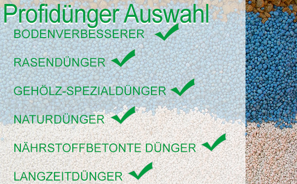 Die besten Rasendünger für das Frühjahr