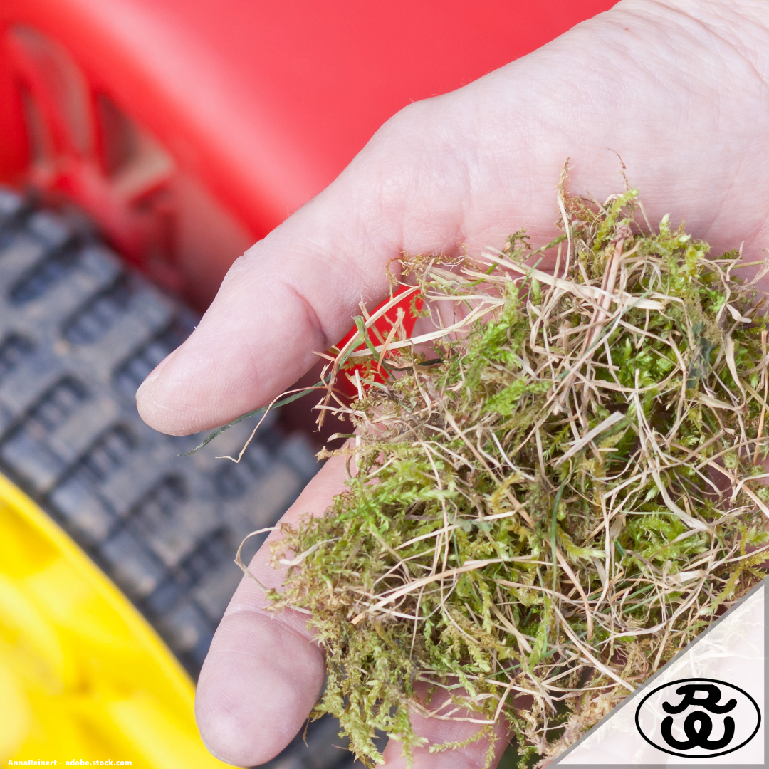 Rasen vertikutieren: Der umfassende Leitfaden für ein sattgrünes Ergebnis