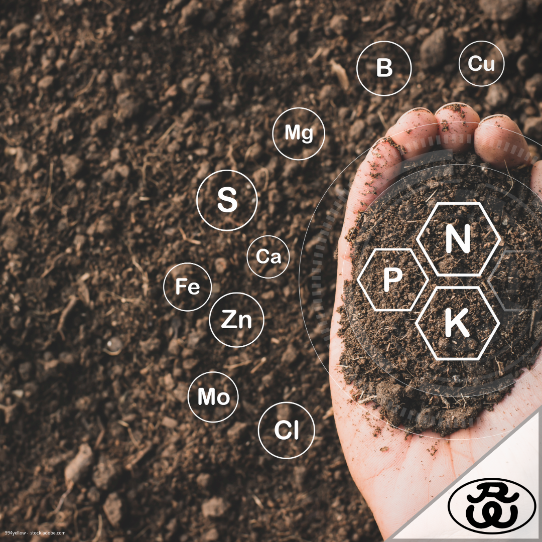 Organische Rasendünger – 15 starke Vorteile für einen gesunden & nachhaltigen Rasen