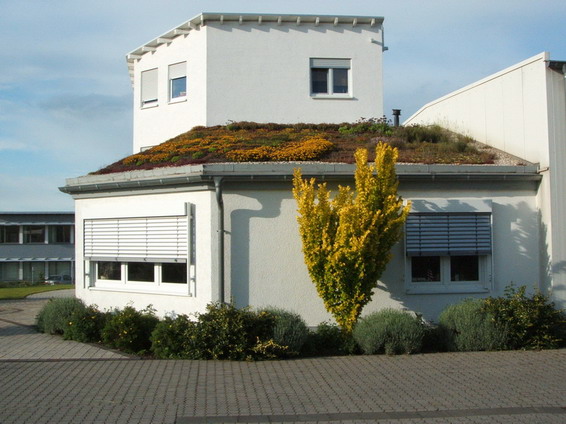 Flachballen Exclusiv-Stauden